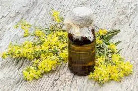 Crafting Premium Mullein Leaf Oil