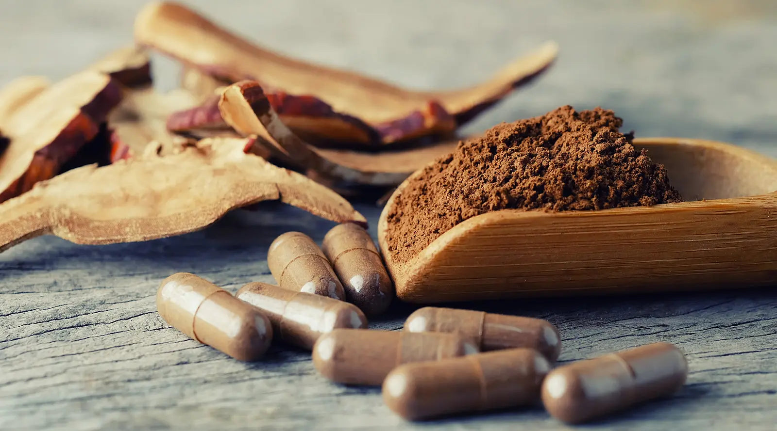 How-to-Incorporate-Mushroom-Powder-into-Your-Daily-Wellness-Routine KIKI Green