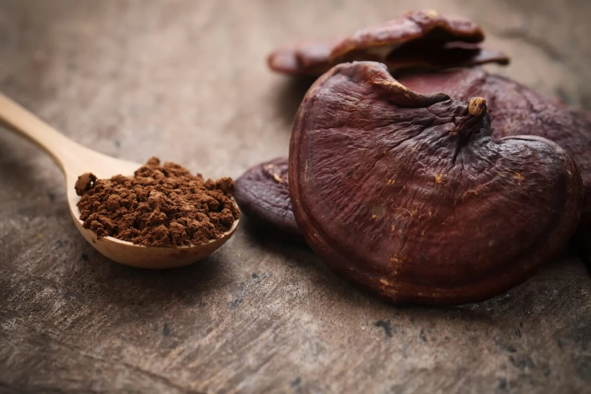 Mushroom Powder Versus Fresh Mushrooms