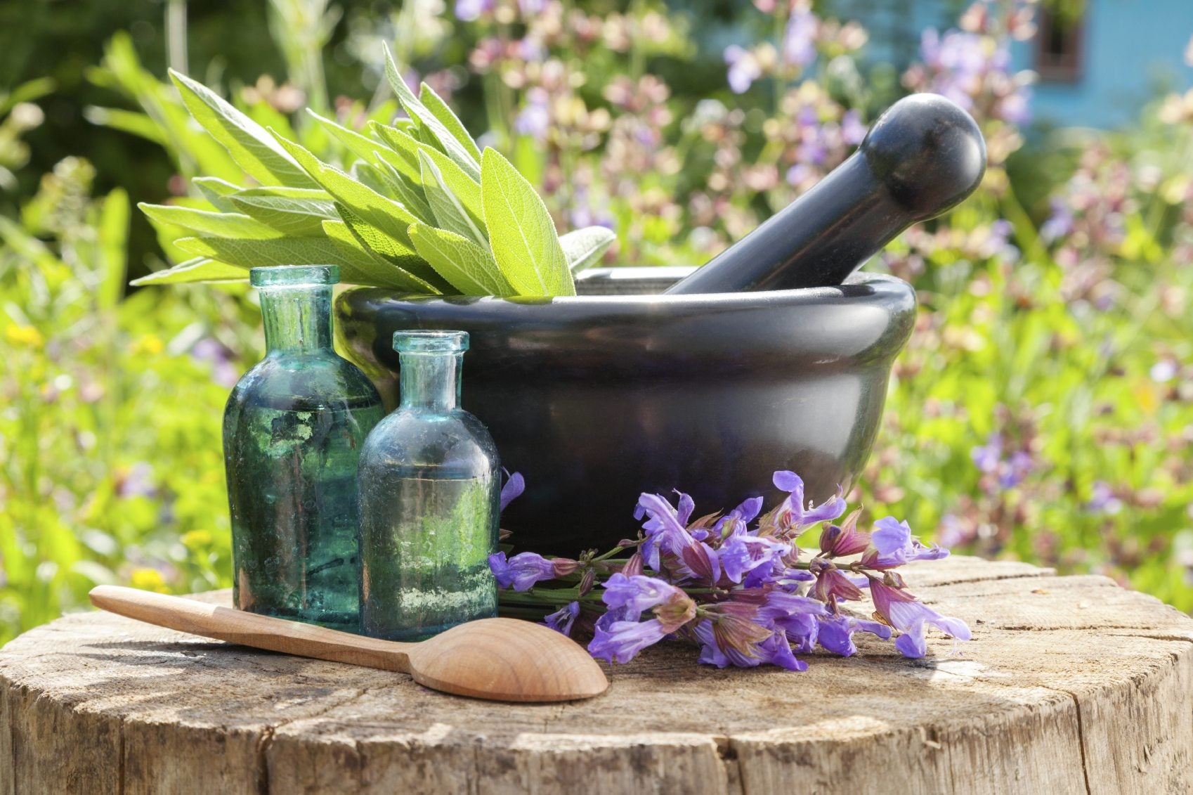 A Beginner's Guide to Medicinal Herbs
