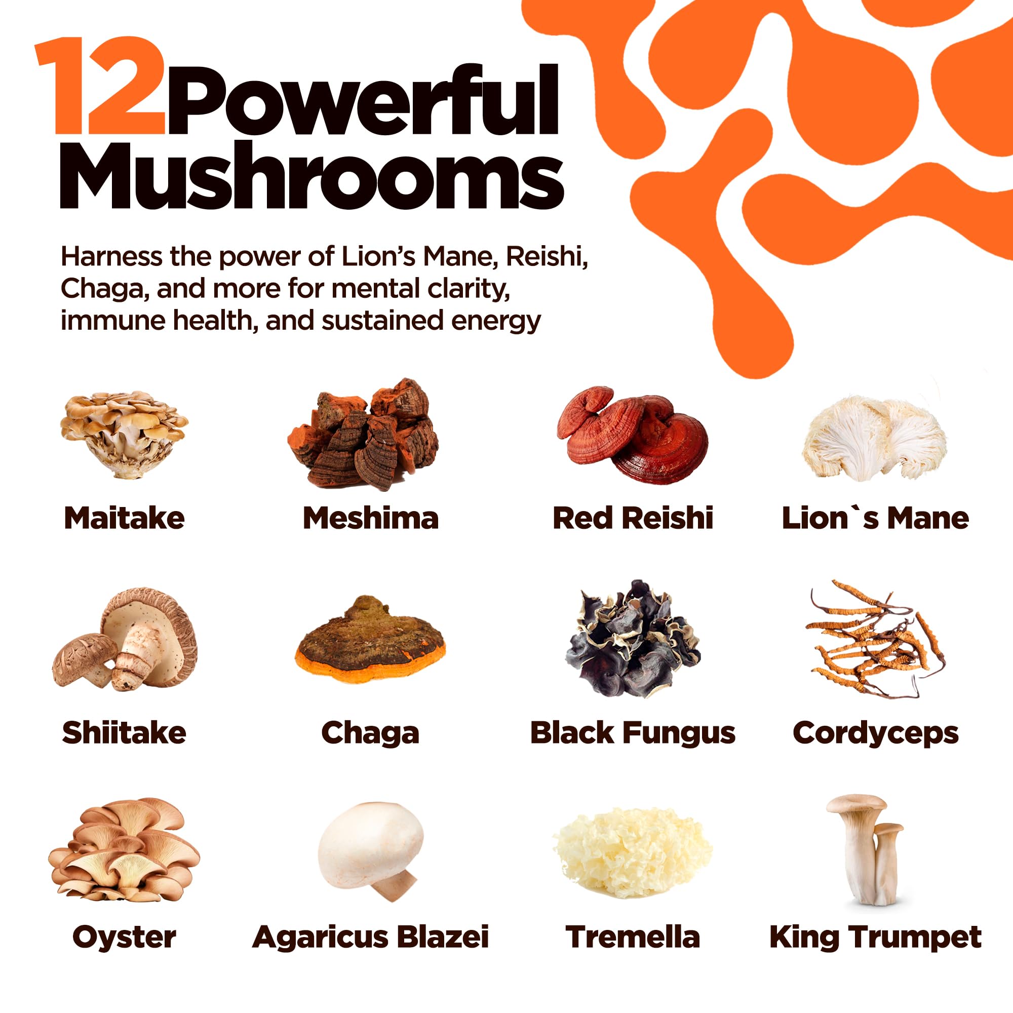 KIKI Green 12 Mushroom Supplement Capsules - Lion's Mane, Chaga, Cordyceps, Reishi, Maitake, Shiitake - Focus, Memory, Clarity - 1500mg Per Serving, Vegan, 120 Count