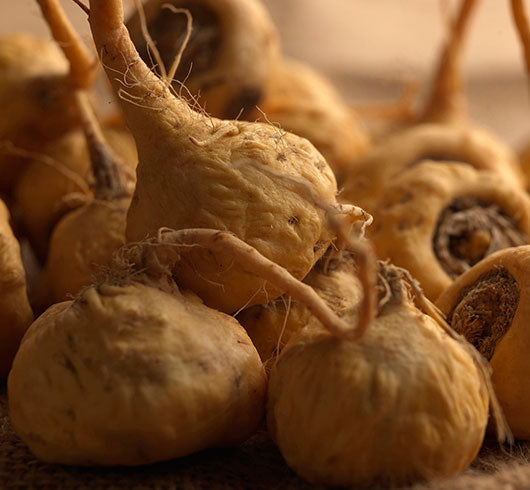 Maca Root